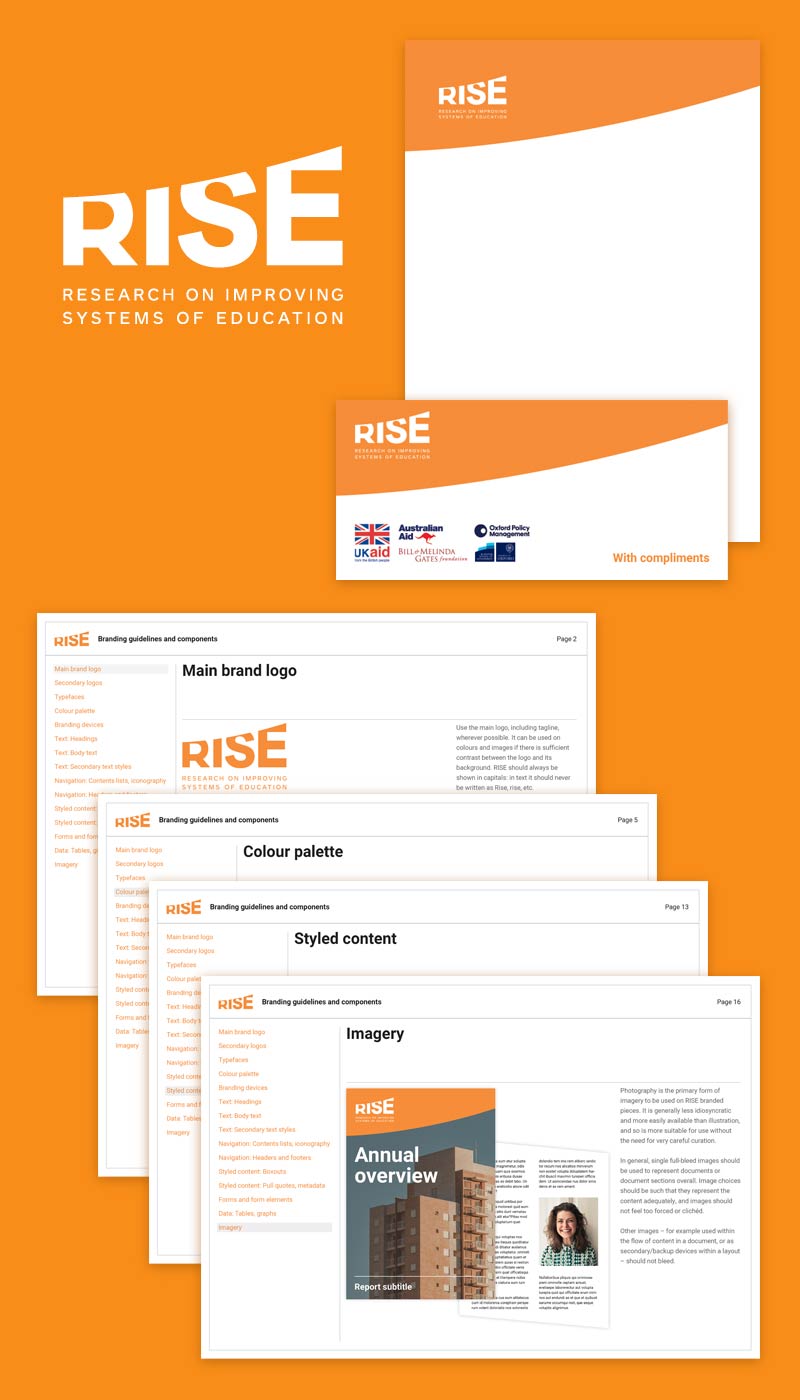 RISE programme brand system / guidelines